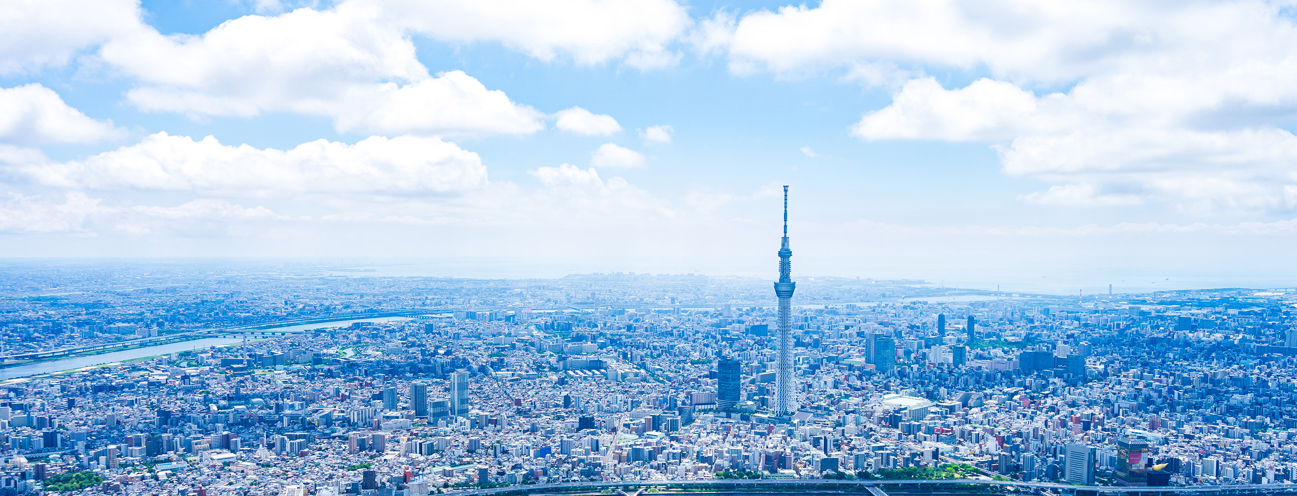 企業情報